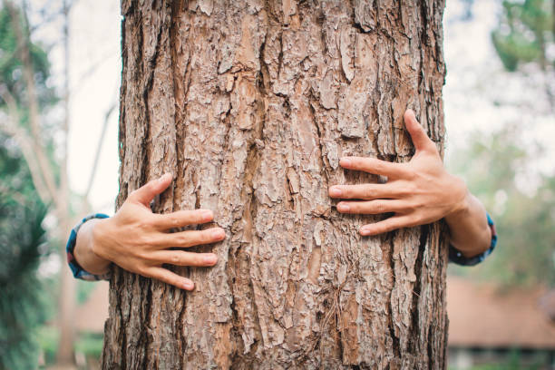 istock Close-Up Of Hand Embracing Tree Trunk 1084238588
