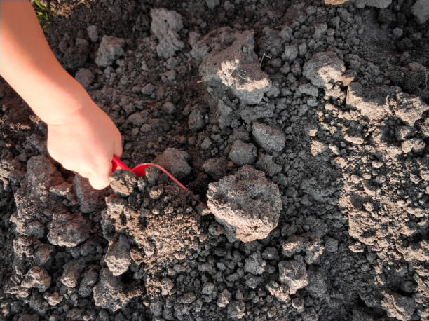 istock Child digging the black soil with toy shovel 1084239618