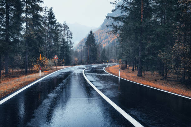 road in the autumn forest in rain. perfect asphalt mountain road in overcast rainy day. roadway with reflection and pine trees in italian alps. transportation. empty highway in foggy woodland. trip - beautiful tree day rock imagens e fotografias de stock