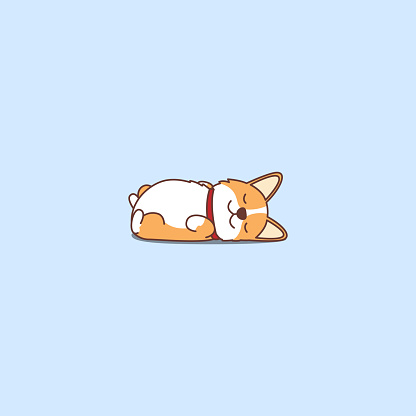 Lazy dog sleeping, cute welsh corgi puppy lying on back cartoon icon, vector illustration
