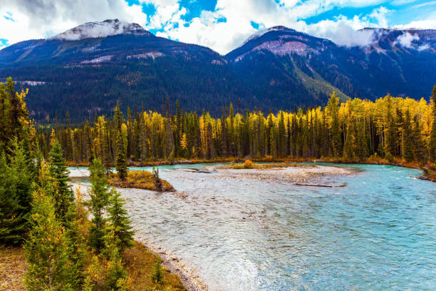 istock Gorgeous autumn in the Rockies 1084260570