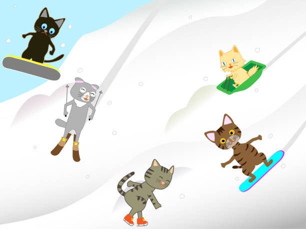 illustrazioni stock, clip art, cartoni animati e icone di tendenza di sport invernali per animali domestici - ice skating sports venue animal winter