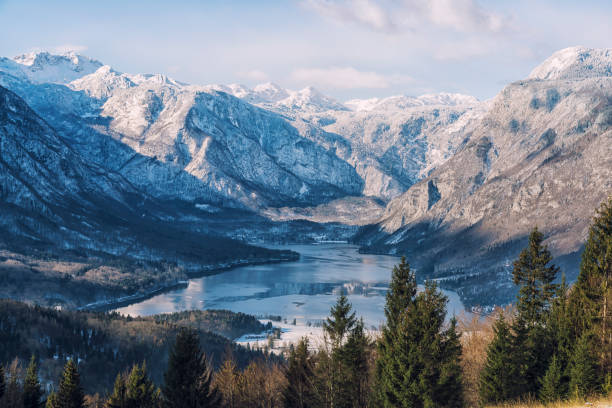 bohinj 湖スロベニア - julian alps lake bohinj lake bohinj ストックフォトと画像