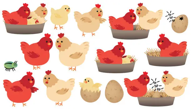 Vector illustration of Cute Cartoon Chicken Set