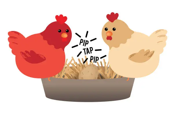 Vector illustration of Cute Cartoon Chickens Watching Egg Hatch
