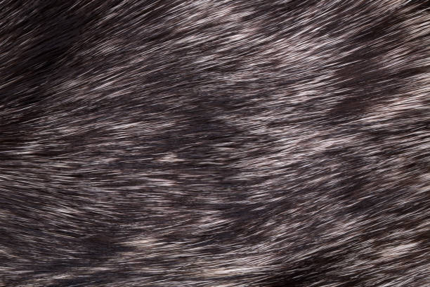 istock Texture of natural rabbit fur close-up. Background. 1084278240