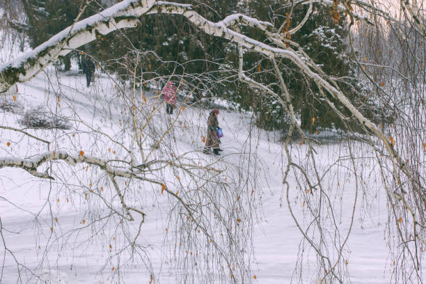 istock People walk in the winter park. In the foreground birch branches 1084284344