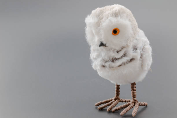 cute baby snowy owl