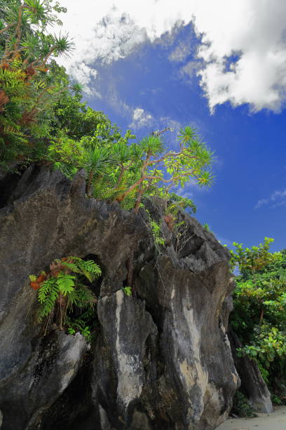 istock Limestone cliffs-karstic relief on the beach. Cudugnon Point Cave-El Nido-Palawan-Philippines-0873 1084289372