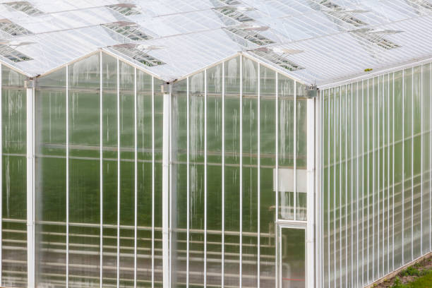 istock Large Greenhouse From Outside 1084291534