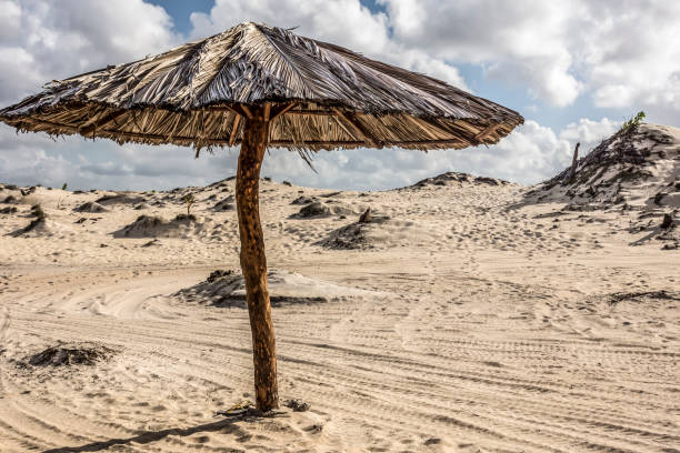 istock Sand dunes and straw umbrella 1084297228