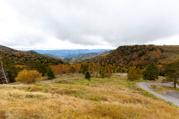 istock autumn view of Japan 1084298066