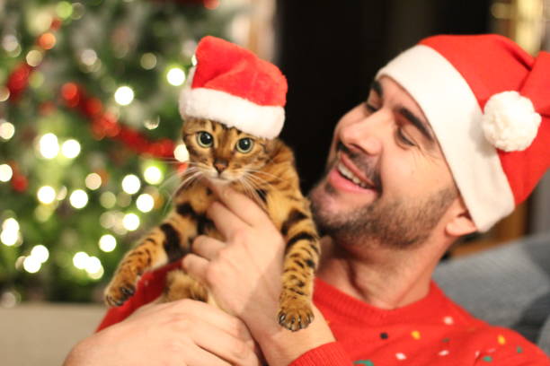 istock Handsome male with his cat during christmas 1084299966