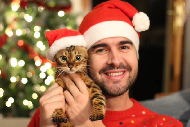 istock Handsome male with his cat during christmas 1084299984
