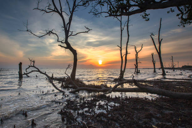 istock Scenic View Of Sea Against Sky During Sunset 1084314656