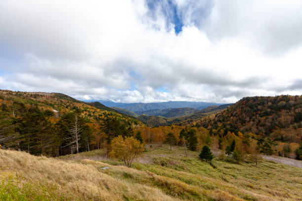 istock autumn view of Japan 1084315020