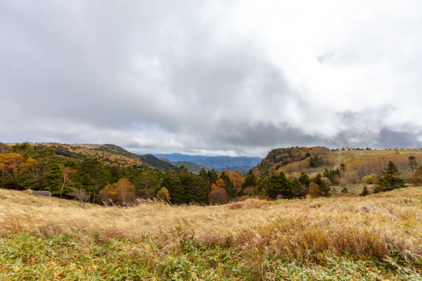 istock autumn view of Japan 1084315364