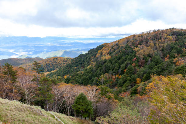 istock autumn view of Japan 1084318614