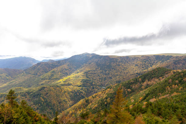 istock autumn view of Japan 1084319094