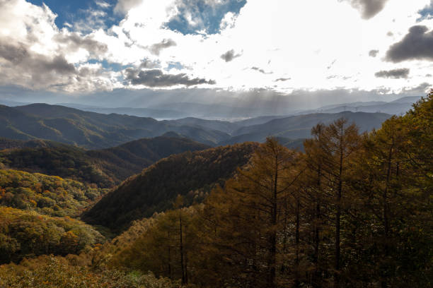 istock autumn view of Japan 1084321612