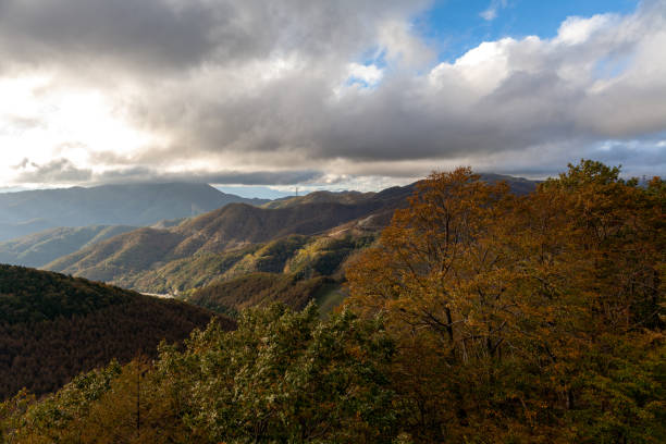 istock autumn view of Japan 1084321930