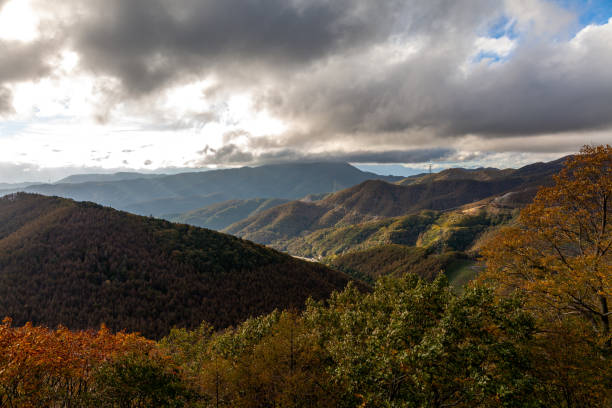 istock autumn view of Japan 1084322006