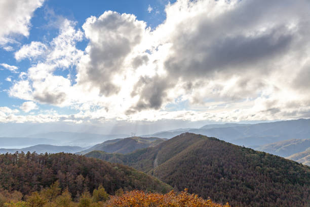 istock autumn view of Japan 1084322126