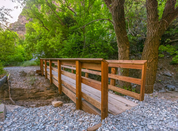 istock Wood bridge over stream with trees and sunny sky 1084329536