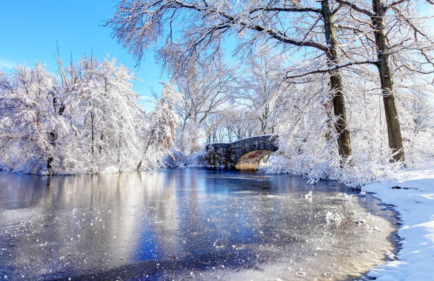 inverno no parque franklin de boston - boston winter snow massachusetts - fotografias e filmes do acervo