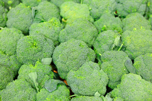 istock Broccoli on the market 1084338292