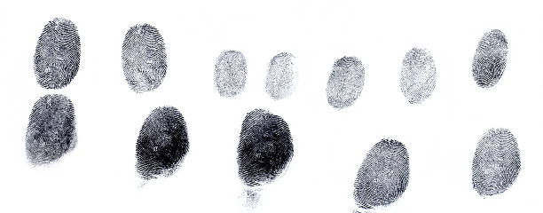 各種の指紋 - fingerprint security system technology forensic science ストックフォトと画像