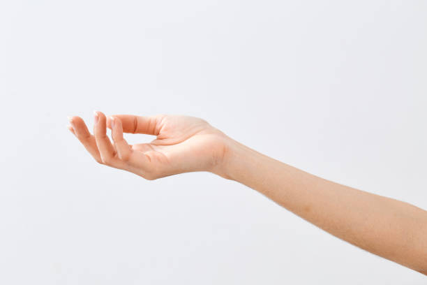 istock Female hands beauty on white background i 1084367352