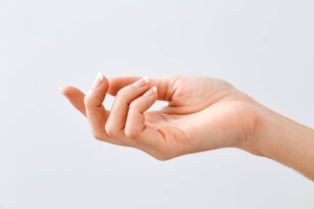 istock Female hands beauty on white background i 1084367364