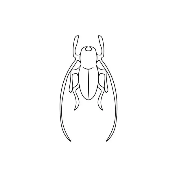 Vector illustration of cricket icon. Element of insect for mobile concept and web apps icon. Thin line icon for website design and development, app development