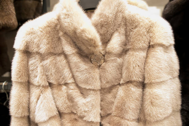 istock Luxury fur coats hanging on rack 1084386476