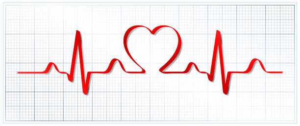 ekg und herz vektormuster (health-konzept) - tierisches herz stock-grafiken, -clipart, -cartoons und -symbole