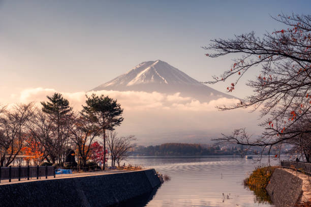 Fuji-san with cloudy in autumn garden at Kawaguchiko lake Fuji-san with cloudy in autumn garden at Kawaguchiko lake in morning mt. fuji photos stock pictures, royalty-free photos & images