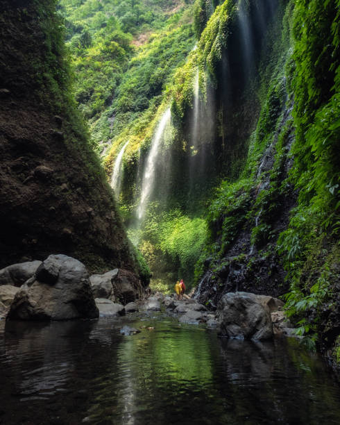 istock Majestic Madakaripura waterfall flowing in valley 1084399904
