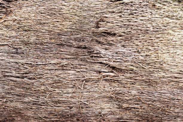 istock Brown line full of wood texture 1084404124