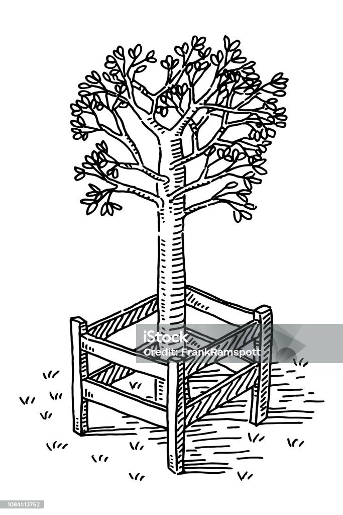 Protection Fence Around Young Tree Drawing Hand-drawn vector drawing of a Protection Fence Around a Young Tree. Black-and-White sketch on a transparent background (.eps-file). Included files are EPS (v10) and Hi-Res JPG. Black And White stock vector