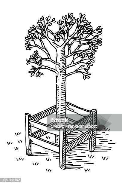 Protection Fence Around Young Tree Drawing Stock Illustration - Download Image Now - Black And White, Black Color, Clip Art