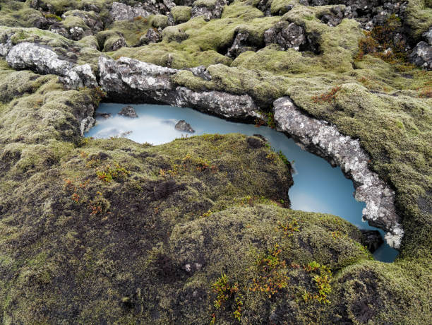Pequeña piscina natural de agua rica del barro de sílice, Península de Reykjanes, Islandia - foto de stock