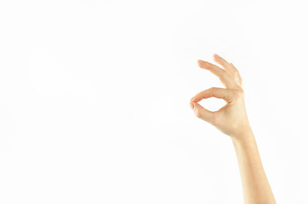 istock Close-up female tender hands on a white isolated background. Conventional labeling. 1084421884