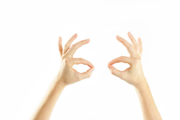 istock Close-up female tender hands on a white isolated background. Conventional labeling. 1084421912