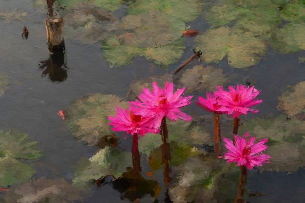 istock water lily oil painting effect 1084422032