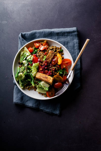 Vegetarian lentil salad with fried cheese, greens and fresh vegeables