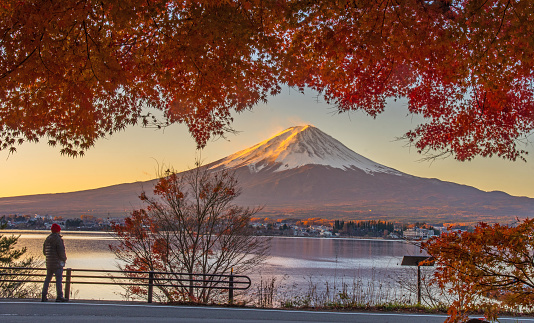 Colorful Autumn Season and Mountain Fuji
