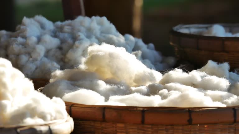 cotton from silkwarm in basket.