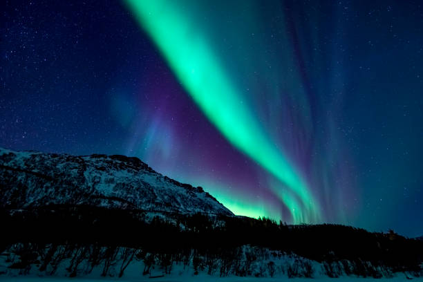 nordlicht oder aurora borealis in lofoten inseln, norwegen. polarlichter in einem sternenhimmel über eine verschneite winterlandschaft - austvagoy stock-fotos und bilder
