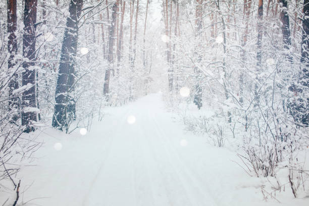 istock scenic view of winter forest and blurred falling snowflakes 1084440840